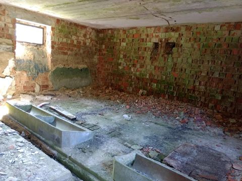 Foto 337